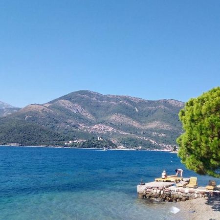 Olive Tree Apartments Tivat Exterior foto