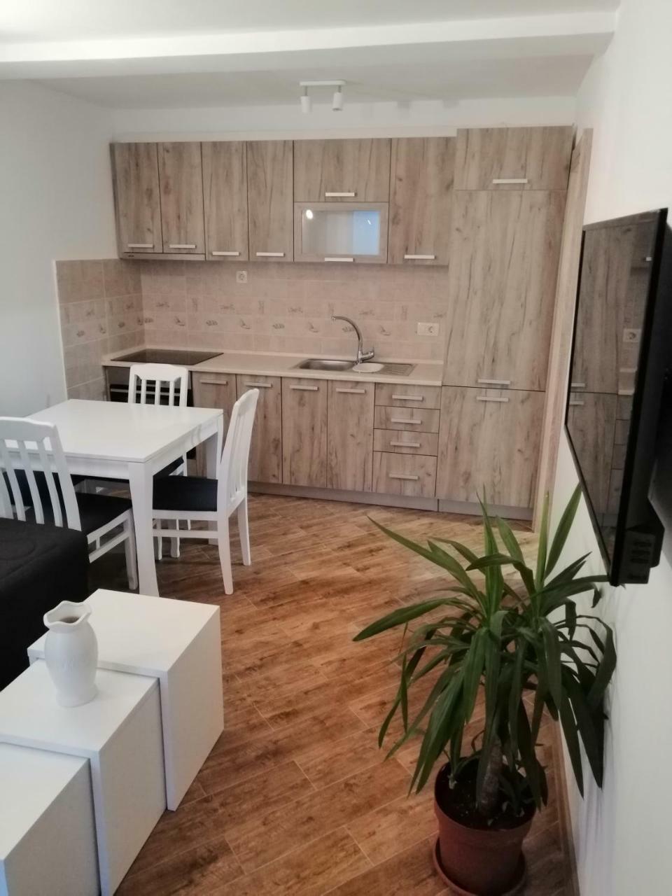 Olive Tree Apartments Tivat Exterior foto